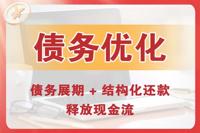望谟债务优化